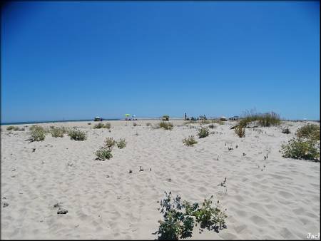 praia-da-armona-mar-moncarapacho-e-fuseta beach