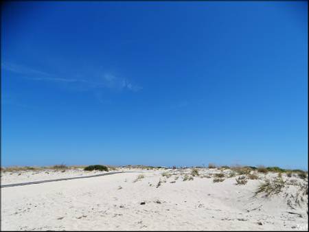 praia-da-armona-mar-moncarapacho-e-fuseta beach