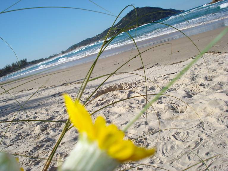 praia-da-barra-garopaba-santa-catarina beach