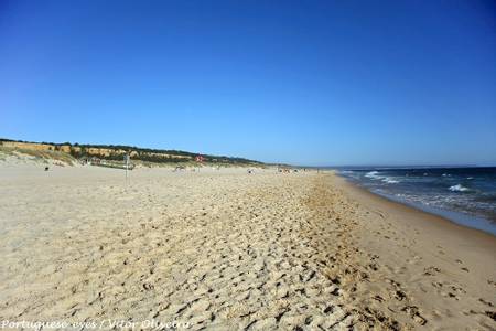 praia-da-bela-vista-costa-da-caparica-%C3%A1rea-metropolitana-de-lisboa beach