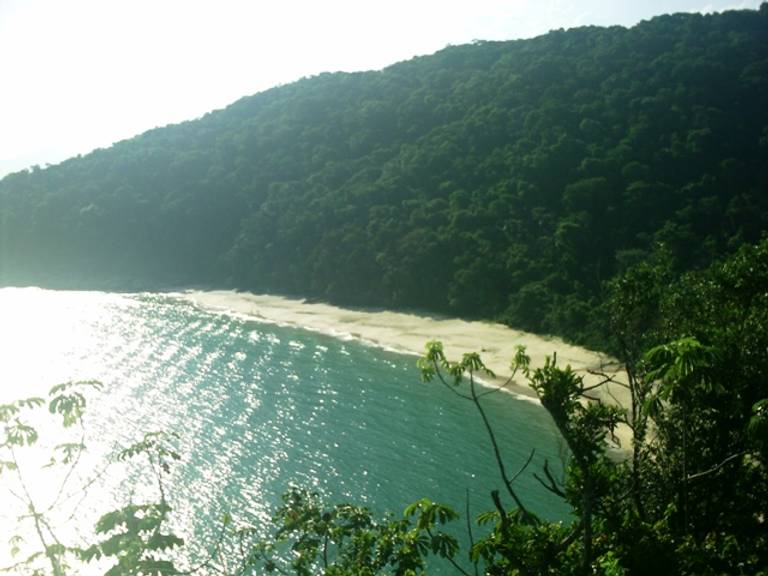 praia-da-figueira-ubatuba-state-of-sao-paulo beach