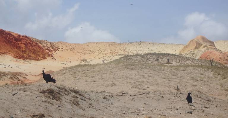 praia-da-redonda-icapu%C3%AD-cear%C3%A1 beach