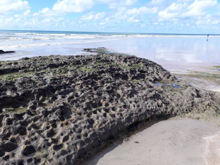 praia-de-boa-viagem-recife-pernambuco beach