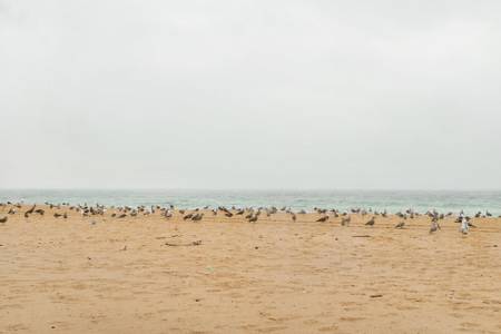 praia-de-doninos-o-outeiro-galicia beach