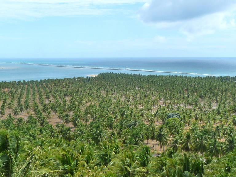 praia-do-gunga-roteiro-alagoas beach