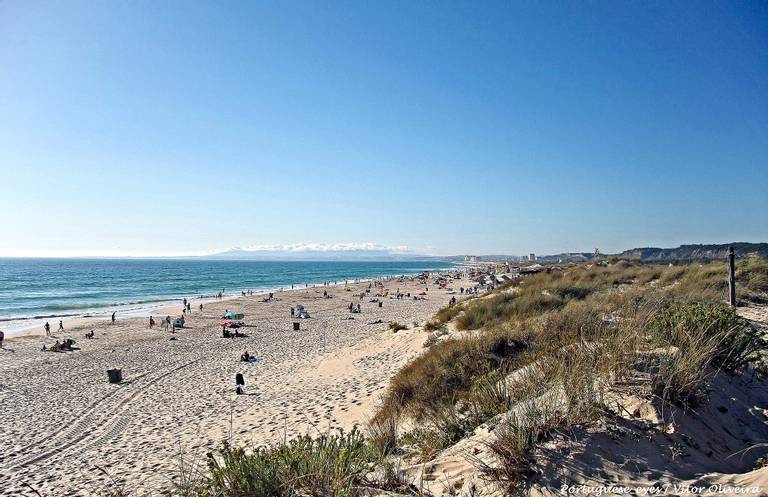 praia-do-rei-costa-da-caparica-%C3%A1rea-metropolitana-de-lisboa beach