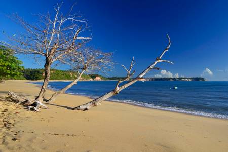praia-do-satu-porto-seguro-bahia beach