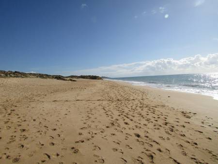 praia-grande-de-p%C3%AAra-arma%C3%A7%C3%A3o-de-p%C3%AAra beach