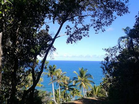 prainha-itacar%C3%A9-bahia beach