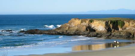 pudding-creek-beach-fort-bragg-california beach