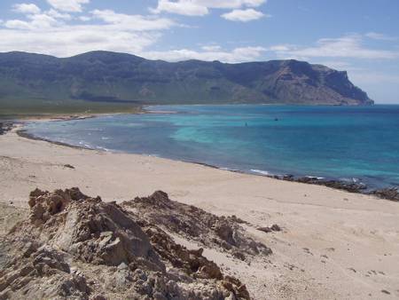 qalansiyah-beach-socotra-island beach