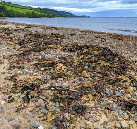 rosemarkie-beach-rosemarkie-scotland beach