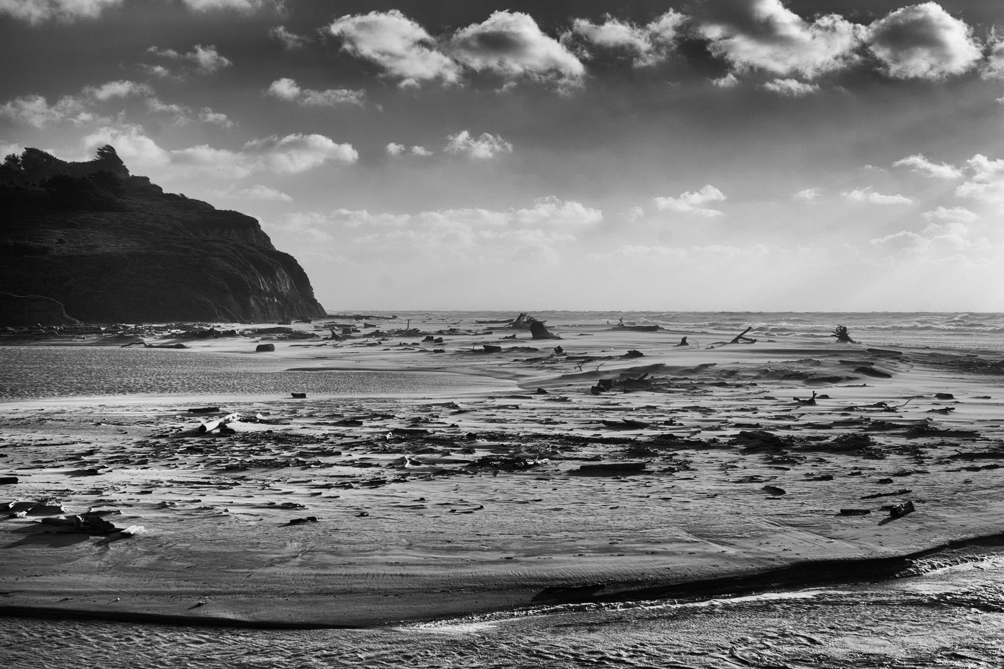 San Gregorio State Beach - 2024 Guide (with Photos) | Best beaches to ...