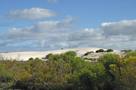 sand-carrarang-western-australia beach