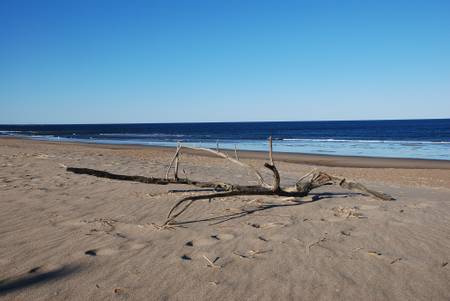 sandy-beach-cohasset-massachusetts beach