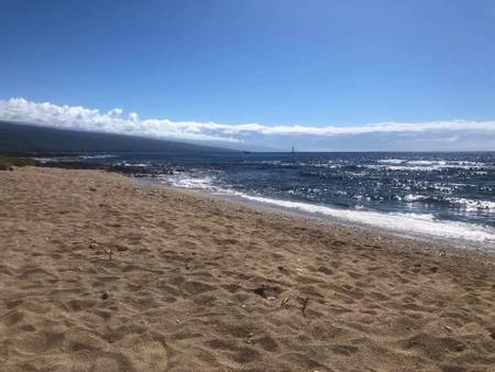 sandy-beach-honolulu-hawaii beach