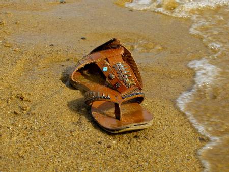 sandy-point-beach-anne-arundel-county-maryland beach