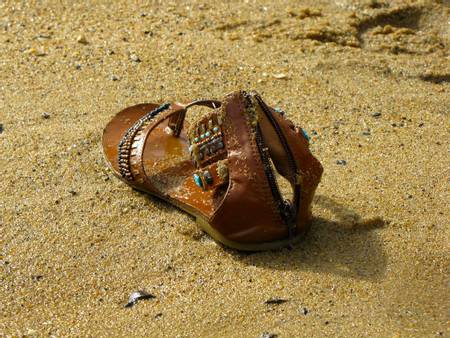 sandy-point-beach-anne-arundel-county-maryland beach