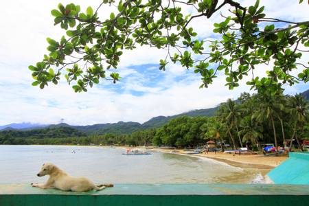 sabang-beach-sabang-southern-leyte beach