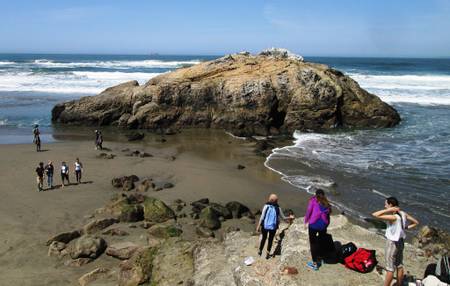 seal-rocks-beach-san-francisco-california beach