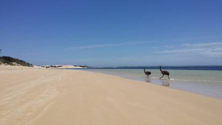 seven-mile-beach-coffin-bay-south-australia beach