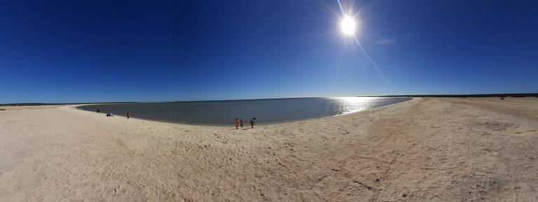 shell-beach-shark-bay-western-australia beach