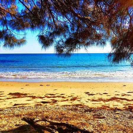 shelly-beach-orford-tasmania beach