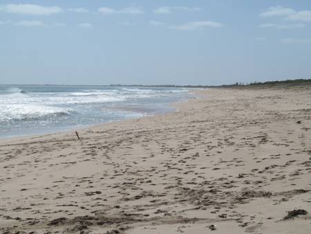 singleton-beach-golden-bay-western-australia beach