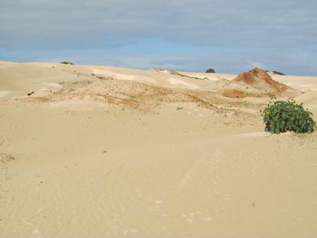 south-gates-beach-cape-burney-western-australia beach