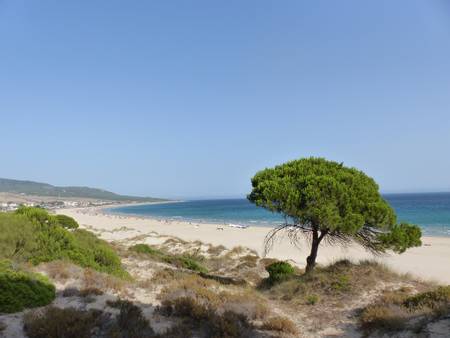 sp-bolonia-beach-tarifa-andalusia beach