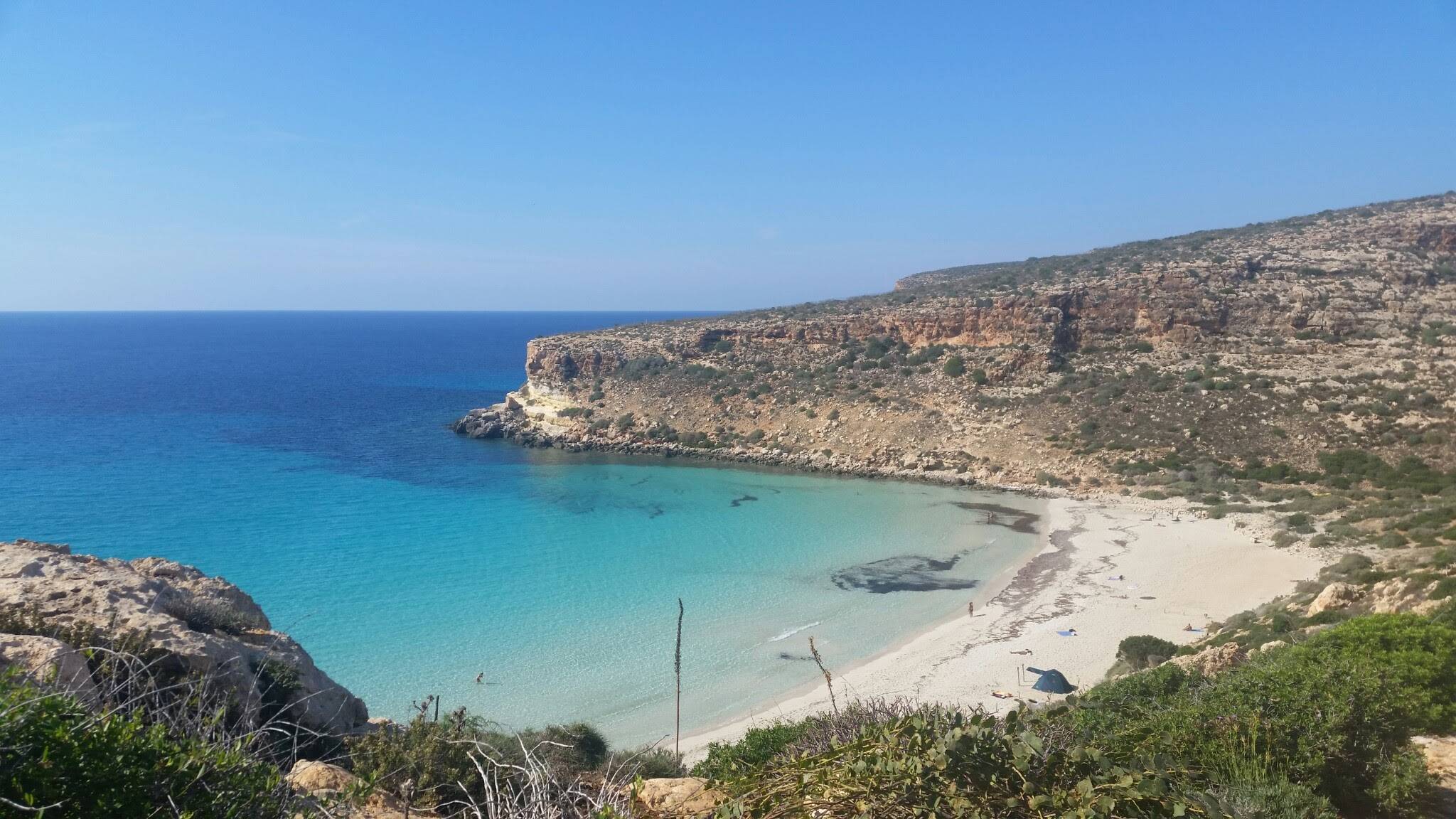 Spiaggia dei Conigli Beach - 2023 Guide (with Photos) | Best beaches to  visit in Lampedusa e Linosa