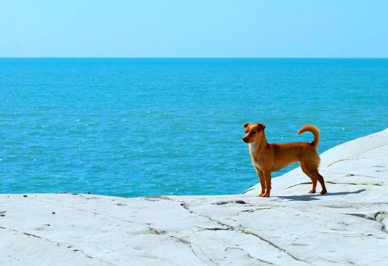 spiaggia-di-scala-dei-turchi-punta-grande-sicily beach