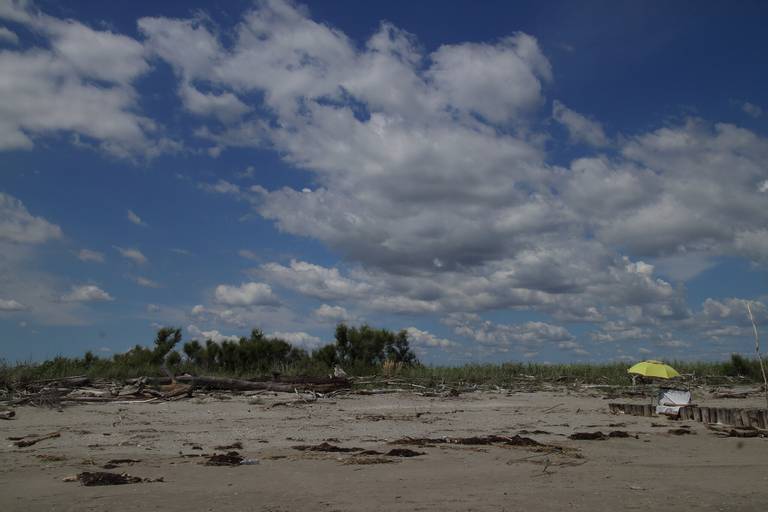 spiaggia-libera-13-rosolina-mare-veneto beach