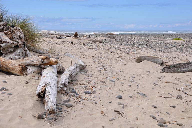 stonefield-beach-lane-county-oregon beach