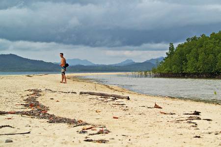 starfish-island-puerto-princesa-palawan beach