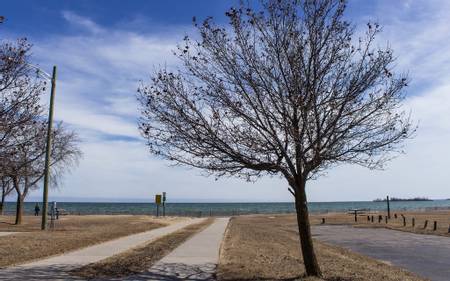 starlite-beach-alpena-michigan beach