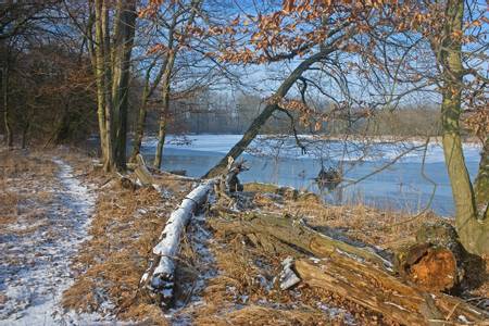 stillinge-dessau-ro%C3%9Flau-saxony-anhalt beach