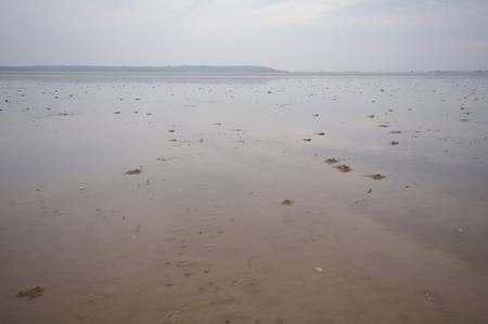 stubborn-sand-kings-lynn-and-west-norfolk-england beach