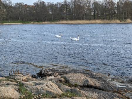 studentviken-karlskrona beach