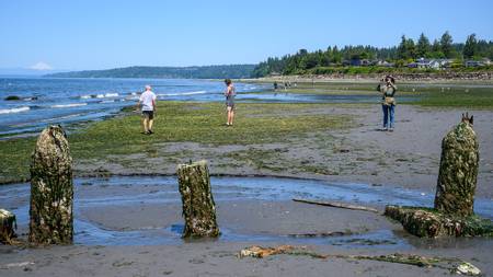 sunset-beach-edmonds-washington beach