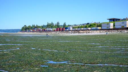 sunset-beach-edmonds-washington beach